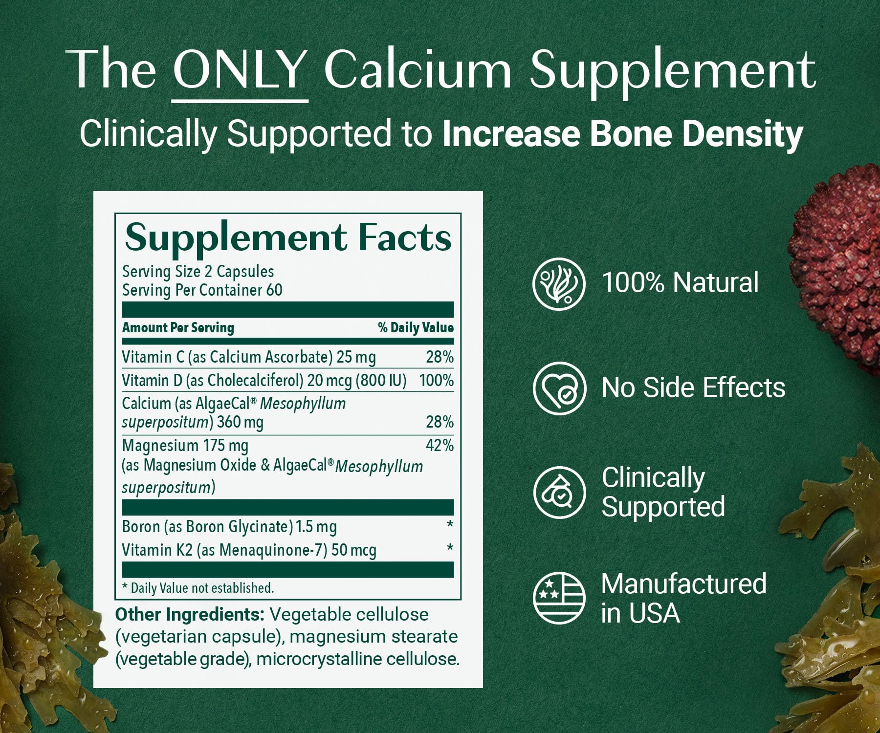 ALGAECAL plus - Increase Bone Density