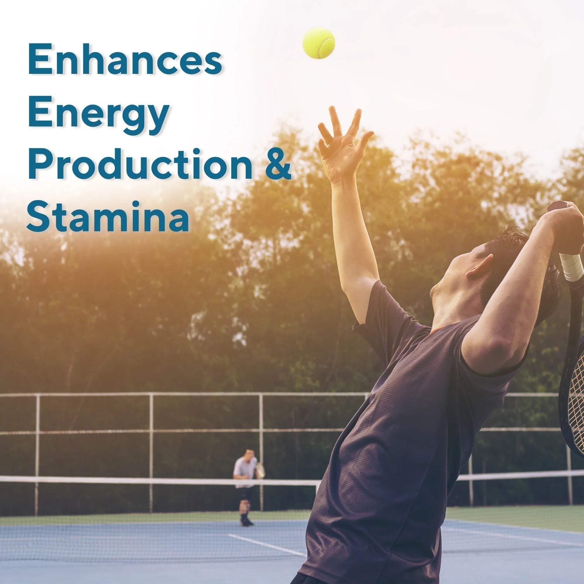 CellGevity Advanced Riboceine Technology 120 Cap